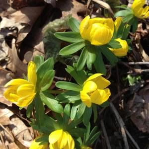 Meet your Posher, Judy